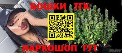 стафф Тара