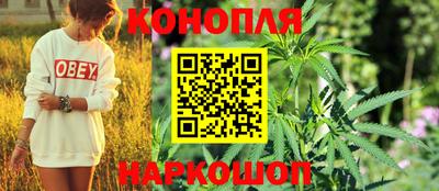 индика Тулун