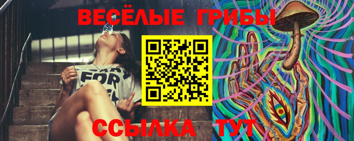 Псилоцибиновые грибы прущие грибы  Вход с VPN  Мурино 