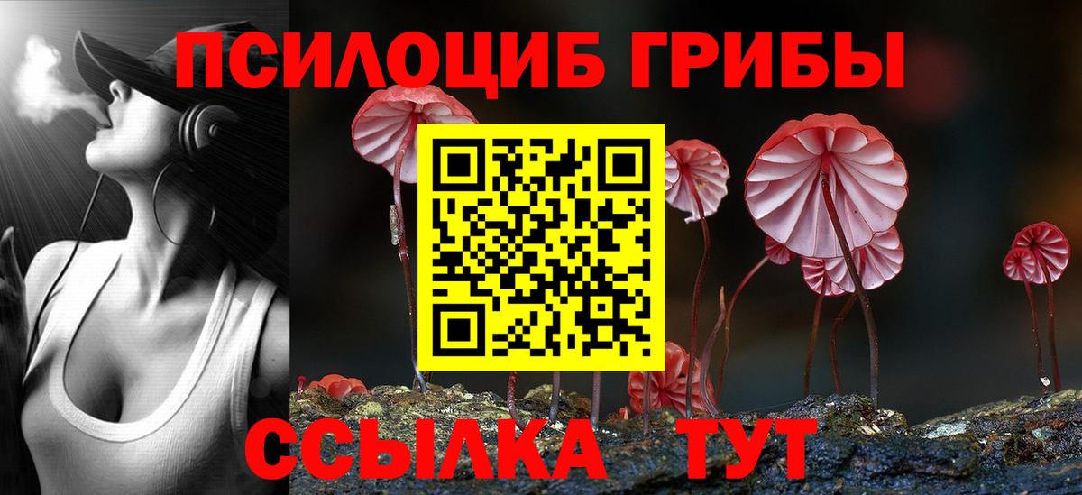 Галлюциногенные грибы MAGIC MUSHROOMS Мурино